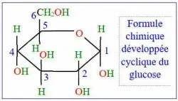 Libération de l'énergie emmagasinée dans la matière organique